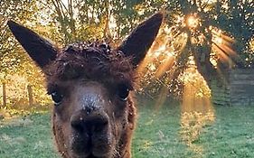 Aux Murmures De La Nature B&B